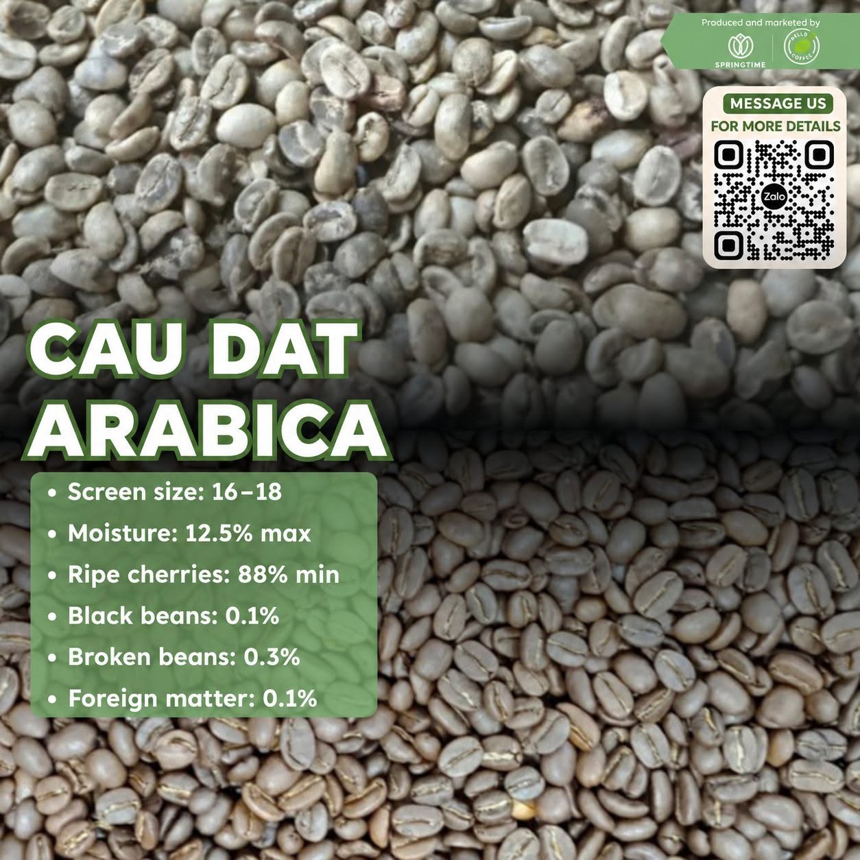 Cà phê nhân xanh Arabica Cầu Đất