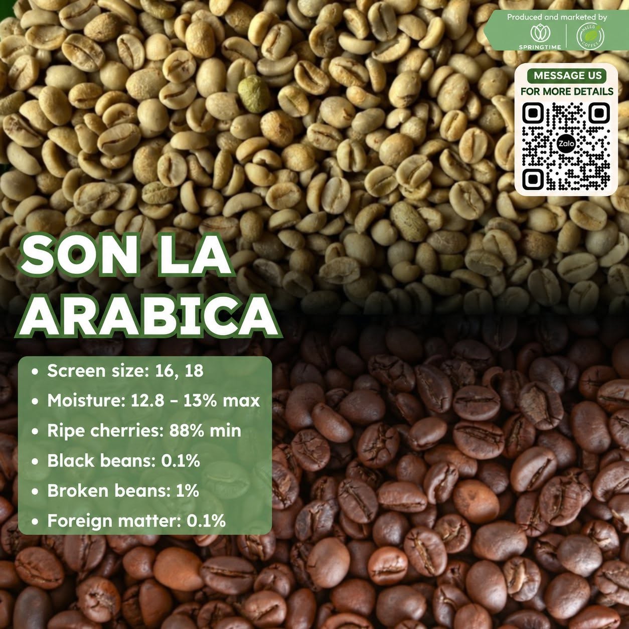 Cà phê nhân xanh Arabica Sơn La