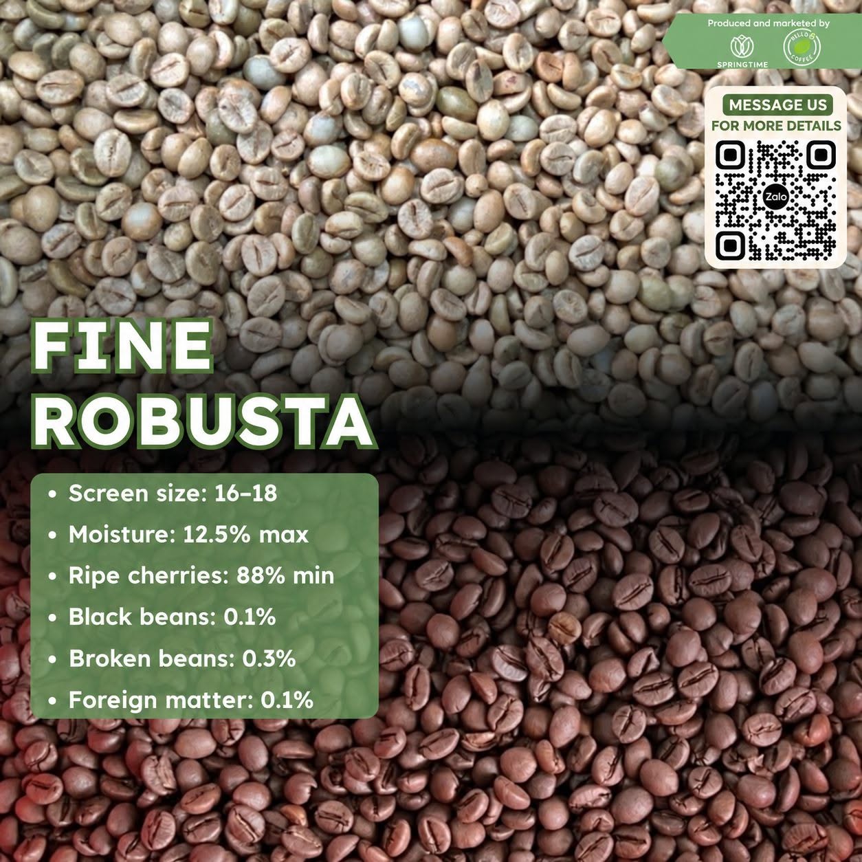Cà phê nhân xanh Fine Robusta