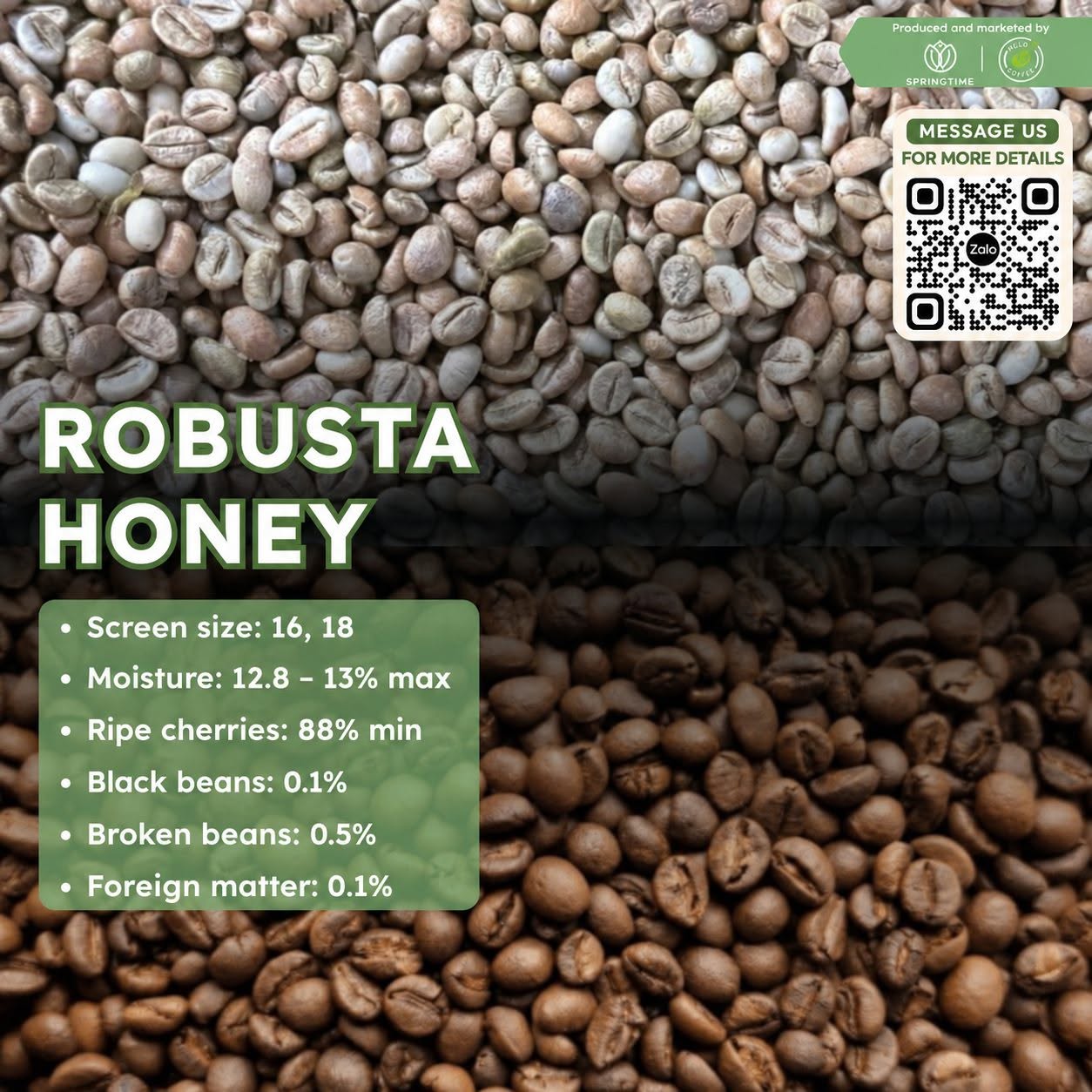 Cà phê nhân xanh Robusta Honey