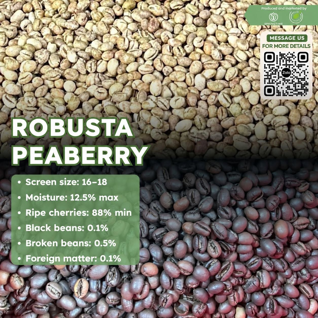 Cà phê nhân xanh Culi Robusta