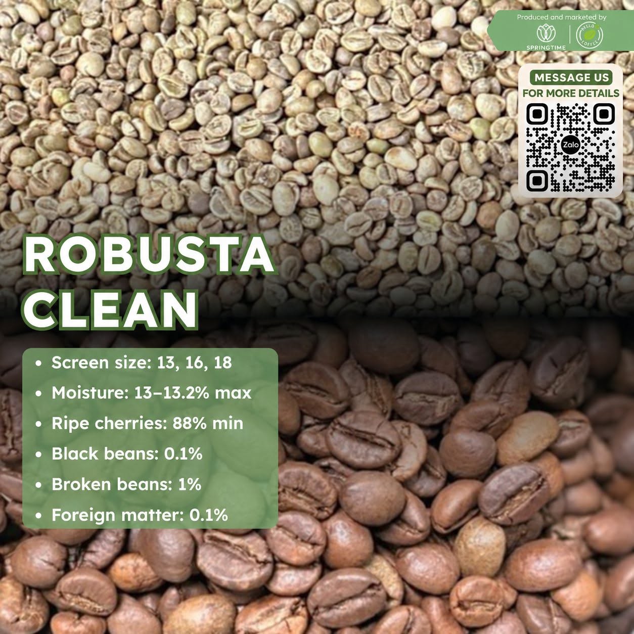 Cà phê nhân xanh Robusta Clean
