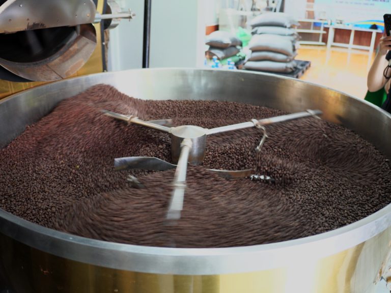 Cà phê rang trong khay làm nguội tại nhà máy SpringTime | Roasted coffee cooling tray