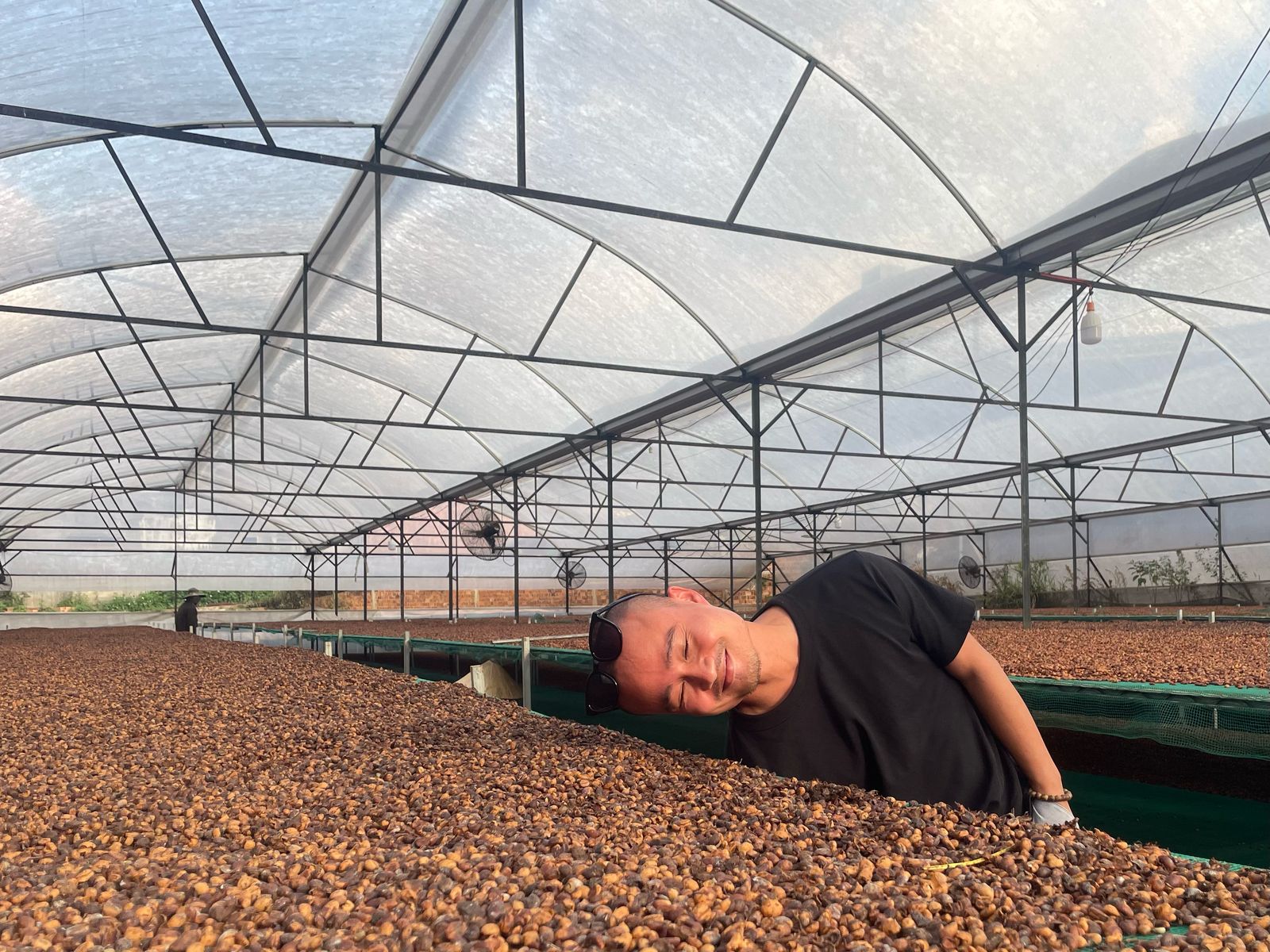 Hình ảnh vùng nguyên liệu cà phê 11
